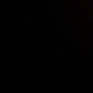 Meet your Posher, Sasha